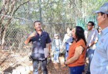 Photo of Parque Yumtsil se convertirá en refugio para rescate y rehabilitación de aves silvestres