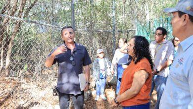 Photo of Parque Yumtsil se convertirá en refugio para rescate y rehabilitación de aves silvestres