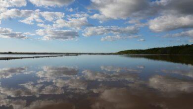 Photo of San Crisanto consolida un modelo de turismo comunitario y conservación de humedales con proyección internacional