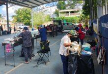 Photo of Jornadas de esterilización refuerzan la salud pública y el bienestar animal en Yucatán