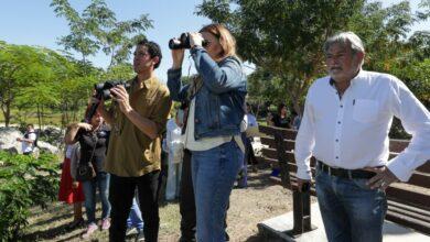 Photo of Mérida pone en marcha su primer Bio-Corredor Verde para impulsar una ciudad más sostenible