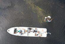 Photo of Ciencia ciudadana, clave para proteger los humedales en Yucatán