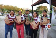 Photo of Impulsan reforestación en Dzityá con 150 árboles nativos
