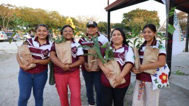 Photo of Impulsan reforestación en Dzityá con 150 árboles nativos