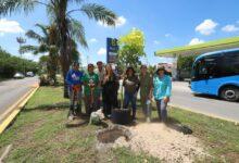 Photo of Actualizan Plan de Infraestructura Verde para fortalecer la sostenibilidad en Mérida