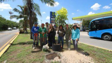Photo of Actualizan Plan de Infraestructura Verde para fortalecer la sostenibilidad en Mérida