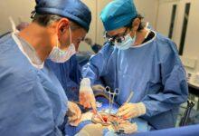 Photo of Yucatán fortalece la donación de órganos y concreta trasplantes que transforman vidas