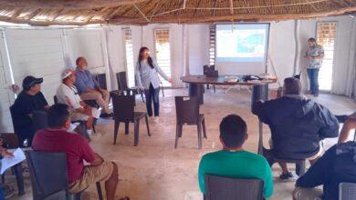 Photo of Capacitan a guías de Dzilam de Bravo y Sisal en conservación de manglares
