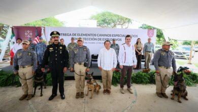 Photo of Refuerzan la seguridad en Yucatán con nuevos binomios caninos especializados en explosivos