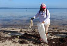 Photo of Jornada ambiental logra sanear siete kilómetros de playa en San Crisanto
