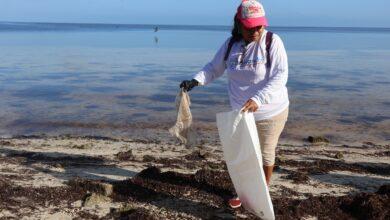 Photo of Jornada ambiental logra sanear siete kilómetros de playa en San Crisanto
