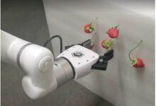 Photo of Presentan nueva edición de la Gaceta Siidetey para difundir investigación en Yucatán