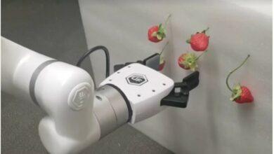 Photo of Presentan nueva edición de la Gaceta Siidetey para difundir investigación en Yucatán