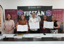 Photo of Sefotur y Ceneval impulsan certificación y capacitación para el sector turístico