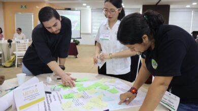 Photo of Impulsan en Yucatán una ganadería sustentable para reducir la deforestación y fortalecer el campo