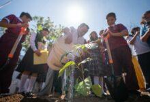 Photo of Arranca programa de reforestación escolar para combatir el calor en el sur de Mérida