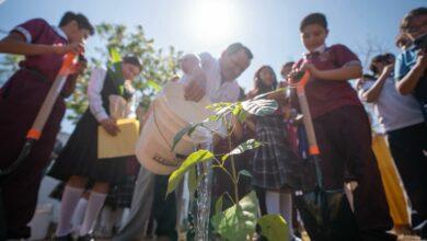 Photo of Arranca programa de reforestación escolar para combatir el calor en el sur de Mérida