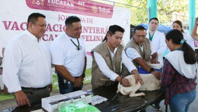 Photo of Inicia en Yucatán la campaña de vacunación antirrábica gratuita para perros y gatos