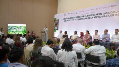 Photo of Yucatán impulsa proyecto regional para proteger la selva maya y fortalecer el desarrollo sustentable