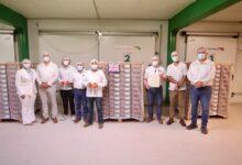 Photo of Yucatán logra histórica exportación de mamey al Reino Unido y abre nuevos mercados internacionales