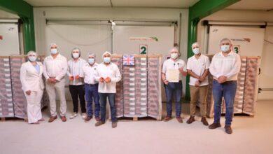 Photo of Yucatán logra histórica exportación de mamey al Reino Unido y abre nuevos mercados internacionales