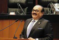 Photo of Senador del PVEM afirma que no habrá fractura con la 4T por la reforma electoral