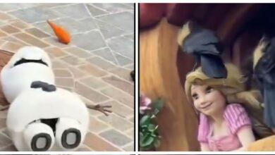 Photo of Insólitos fallos de animatrónicos de Disney se vuelven virales: Rapunzel y Olaf protagonizan incidentes