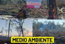 Photo of Clausuran desmonte ilegal en Hopelchén, Campeche por daño ambiental