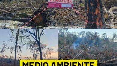 Photo of Clausuran desmonte ilegal en Hopelchén, Campeche por daño ambiental