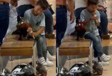 Photo of ‘Mi gallito también merece helado’