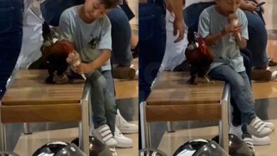 Photo of ‘Mi gallito también merece helado’