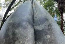 Photo of Luna gigante del FILUX en Reforma se desinfla por falla eléctrica; ya fue reparada