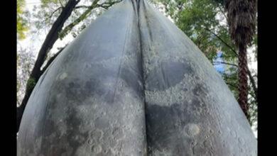 Photo of Luna gigante del FILUX en Reforma se desinfla por falla eléctrica; ya fue reparada