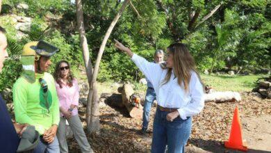 Photo of Mérida avanza con su primer Corredor Verde en Ciudad Caucel: proyecto sustentable y ciudadano