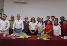 Photo of Yucatán arranca temporada de anidación de tortugas marinas en 279 kilómetros de costa