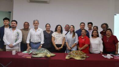 Photo of Yucatán arranca temporada de anidación de tortugas marinas en 279 kilómetros de costa