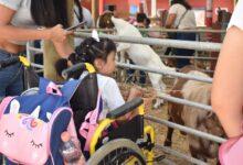 Photo of Más de 185 personas viven jornada inclusiva en Ponylandia