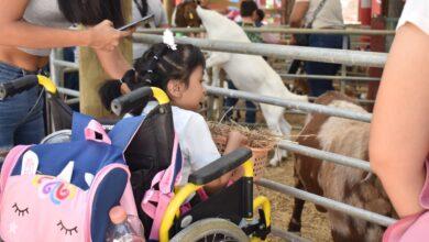 Photo of Más de 185 personas viven jornada inclusiva en Ponylandia