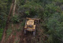 Photo of Vinculan a proceso a dos personas por daños ambientales en la Reserva Cuxtal