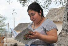 Photo of Ieaey convoca a jornada estatal de alfabetización para jóvenes y adultos