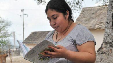 Photo of Ieaey convoca a jornada estatal de alfabetización para jóvenes y adultos