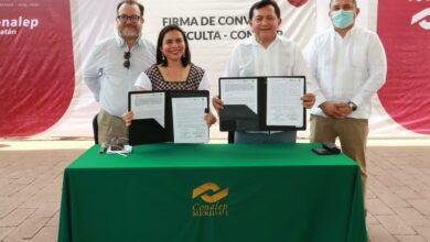 Photo of Sedeculta y Conalep fortalecen vínculo cultural y educativo en Yucatán
