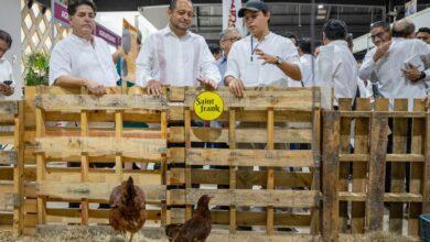 Photo of Mérida, Yucatán: regresa Expo Campo 2026 con más de 400 expositores tras 7 años