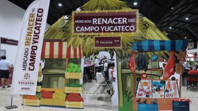 Photo of Mercado Renacer reúne a 250 productores en Expo Campo Yucatán 2026