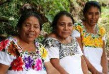 Photo of Suprema Corte avala representación colectiva de pueblos indígenas en juicios de amparo