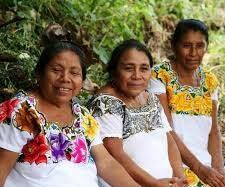 Photo of Suprema Corte avala representación colectiva de pueblos indígenas en juicios de amparo