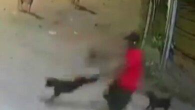 Photo of Hombre usa a un perro como “arma giratoria” para escapar de una jauría en Paraguay
