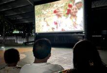Photo of Llevarán documental sobre flamencos a Mérida, Celestún y Sisal con funciones gratuitas