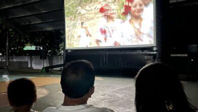 Photo of Llevarán documental sobre flamencos a Mérida, Celestún y Sisal con funciones gratuitas
