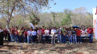 Photo of UTP de Halachó recibe mil árboles para fortalecer áreas verdes y conciencia ambiental